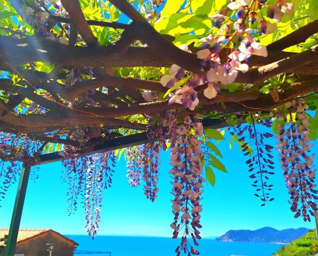 Apartament Sunset Manarola Zewnętrze zdjęcie